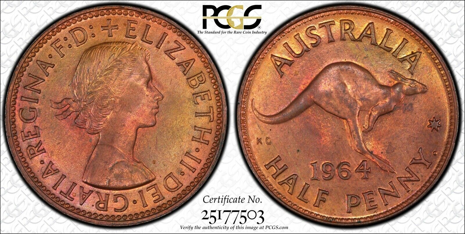 Australia 1964 Y. P 1/2 D Half Penny Pcgs Ms65rb Borg Pedigree Nice Gem Bu