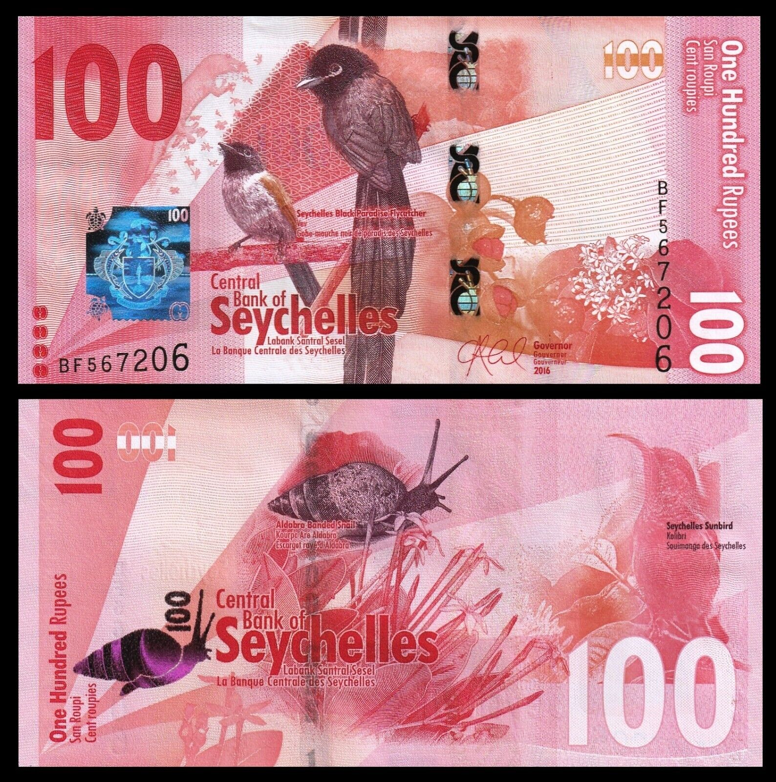 🇸🇨  Seychelles 100 Rupees (p50) 2016 Unc ***  Banknote